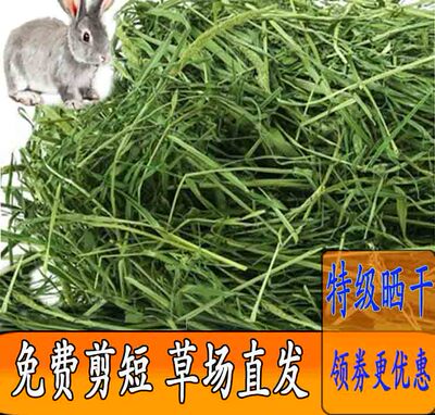 新晾晒产地发货提摩西草