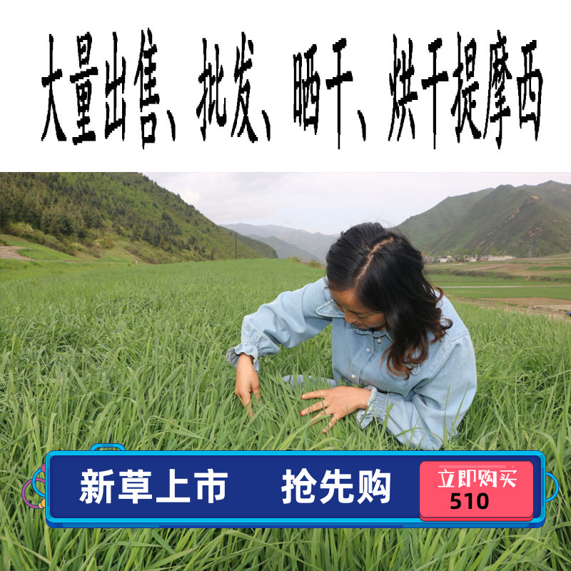 25烘干頭茬提摩西草15kg大包裝