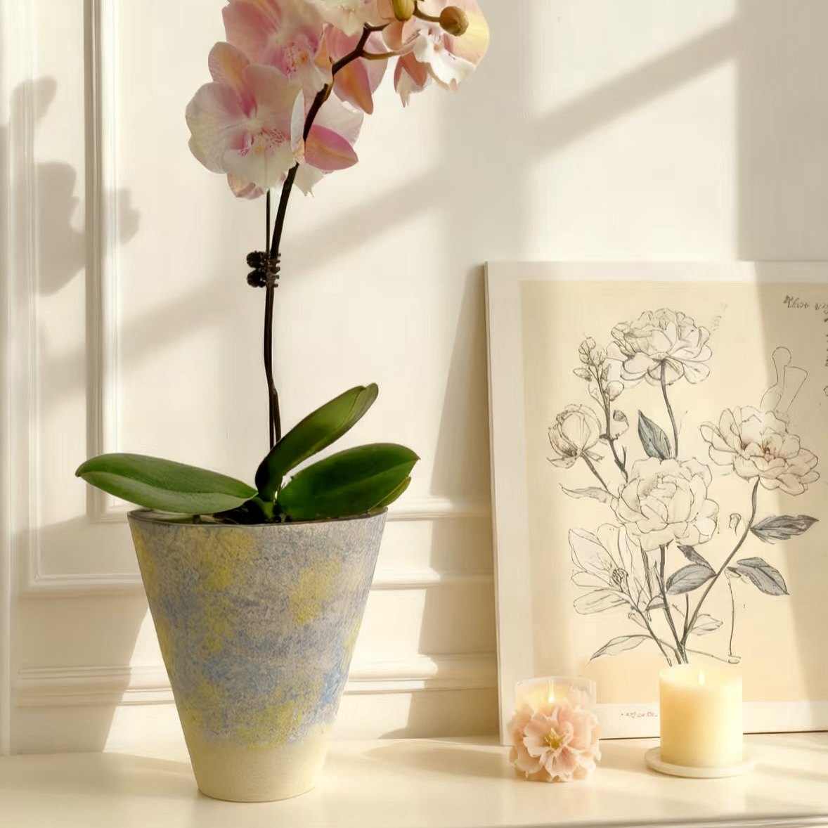 网红多彩土陶花盆透气吸水打孔蝴蝶兰花盆高级感花盆多肉花盆,家居饰品,花盆,淘宝优惠券,粉丝福利购,淘宝优惠卷