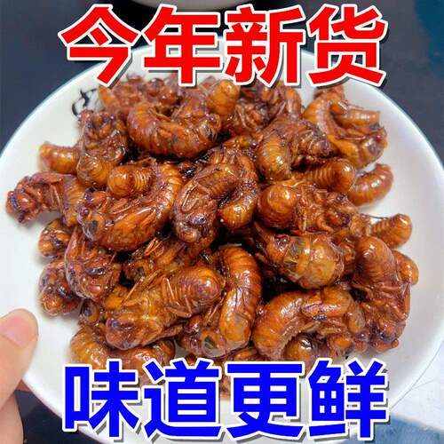 夏日限定】油炸金蝉香酥知了猴爬叉结了龟唐僧肉解馋下酒菜熟食品