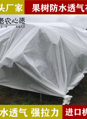 老农心愿果树防寒防冻布 白色透气透光沃柑柑橘农业用可免搭架
