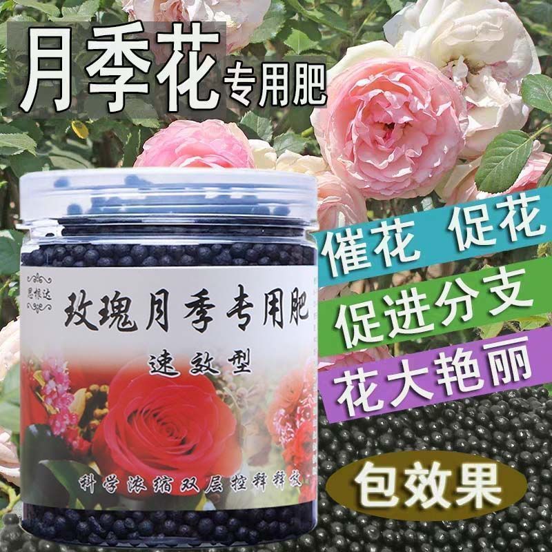 有机玫瑰盆栽叶面肥花土营养土