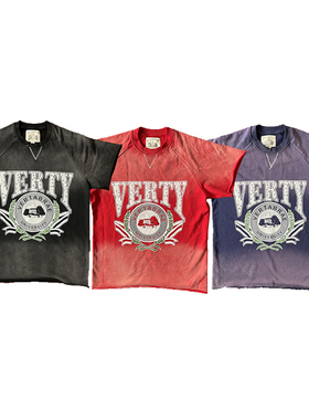 Vertabrae verty标语梵文印花潮牌做旧男女宽松短袖T恤