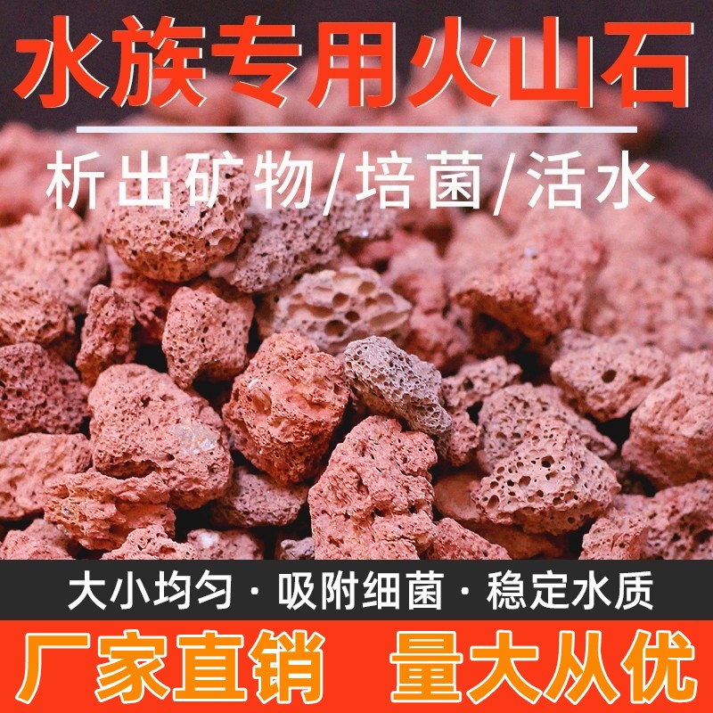 古法养鱼红色火山石颗粒蚝壳大颗粒滤材鱼池过滤材料陶瓷环牡蛎壳