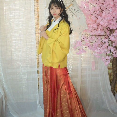 爱莲说明制马面量身大码传统汉服