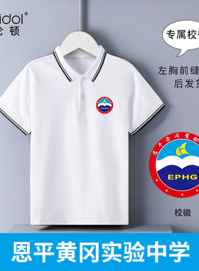 中学生校服T恤学院风翻领班服上衣恩平黄冈实验中学校服夏季短袖