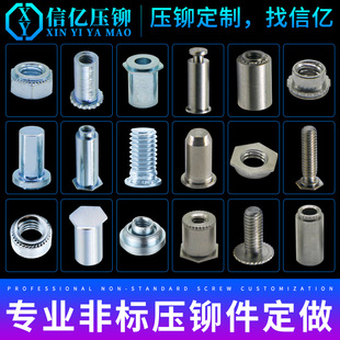 铝 铁 铜 非标螺丝定制压铆件定做加工螺母螺柱螺钉销不锈钢 信亿