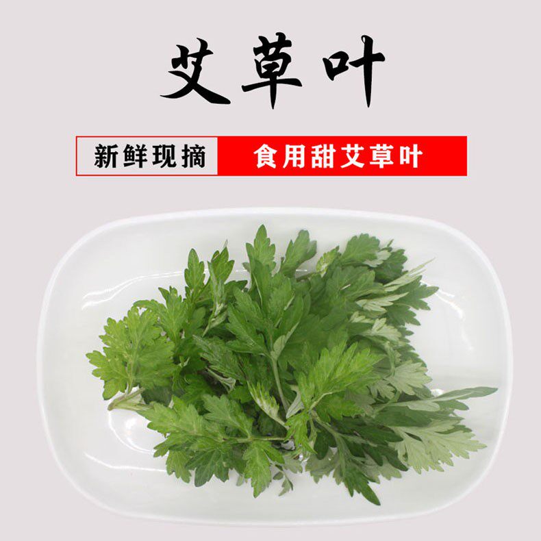 新鲜现摘艾草叶糍耙清明嫩艾叶做青团用食用田艾草嫩艾草芽