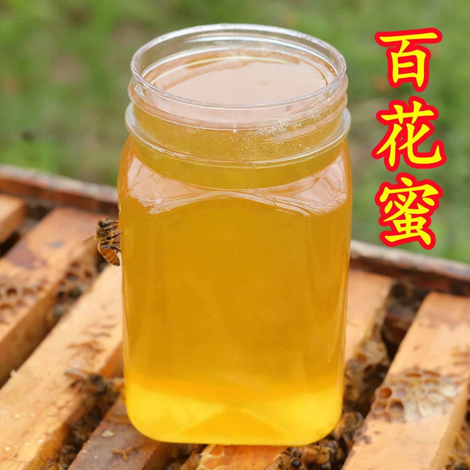 农家自养百花蜜深山土蜂蜜自然成熟蜂蜜500克便携款