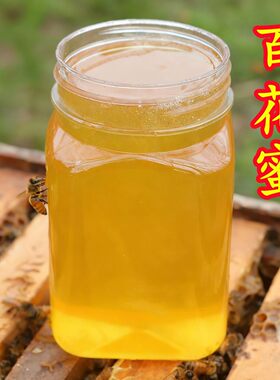 农家自养百花蜜深山土蜂蜜自然成熟蜂蜜500克便携款