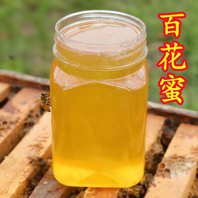 农家自养百花蜜深山土蜂蜜自然成熟蜂蜜500克便携款