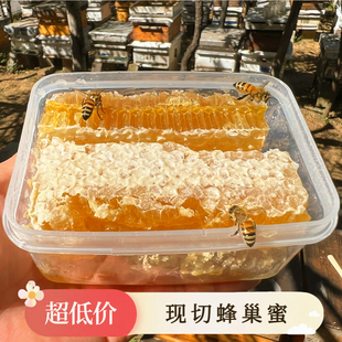 纯正天然蜂巢蜜农家自产嚼着吃土蜂蜜巢块蜂巢蜜蜂窝盒装巢蜜