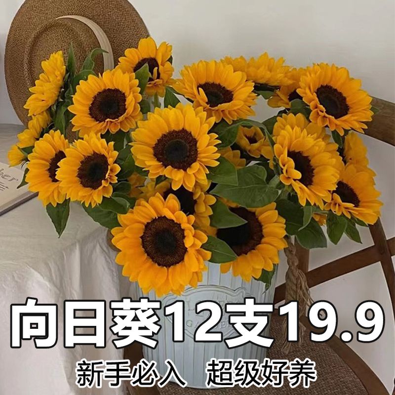 向日葵鲜花云南鲜花直发水培鲜花混搭真花基地直发包邮