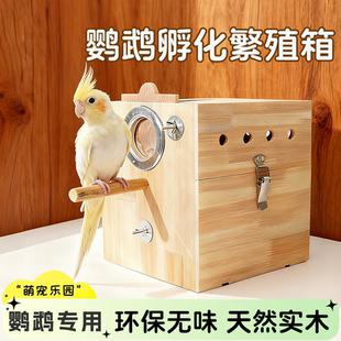鹦鹉繁殖箱孵化箱新款实木鸟房四季通用玄凤虎皮鸟窝鸟巢笼内造景