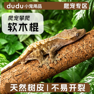 爬宠攀爬软木棒树栖爬虫攀爬棍睫角盖勾亚守宫树蛙造景藤木原生态