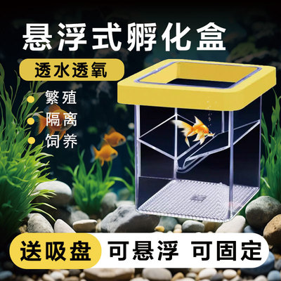 鱼缸繁殖孵化盒隔离盒安全隔离