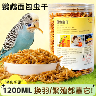 鹦鹉面包虫干零食互动零食宠物用品鹦鹉专用大全玄凤牡丹面包虫干