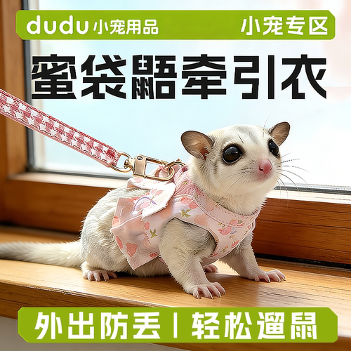 蜜袋鼯牵引绳衣服外出用仓鼠花枝鼠金丝熊牵引绳背带防跑丢溜鼠
