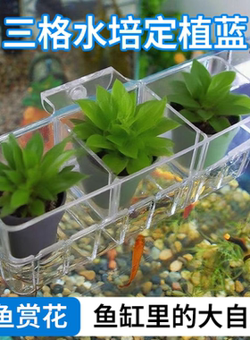 水培固定篮壁挂式定植篮绿萝固定鱼缸水培挂篮种植支架造景装饰