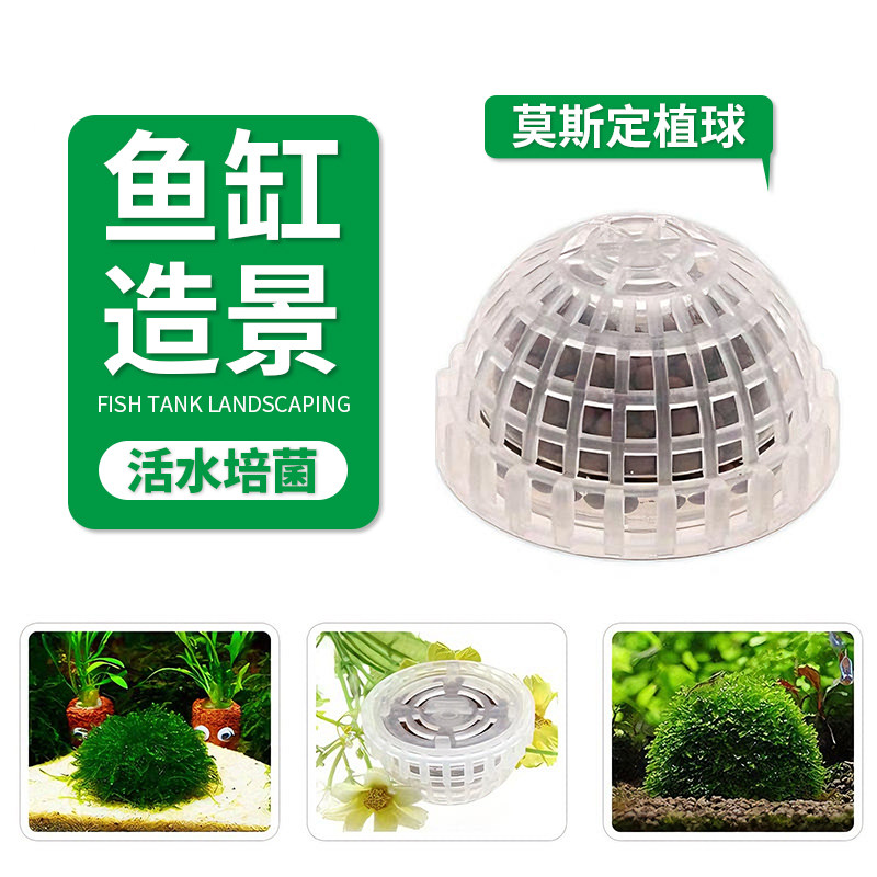 鱼缸定植球莫斯水草定植球悬浮莫斯半球活水培菌鱼虾躲避创意造景,宠物/宠物食品及用品,造景/装饰,淘宝优惠券,粉丝福利购,淘宝优惠卷