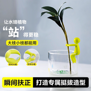 水培植物生长伴侣水培植物生长固定神器扶正扶枝办公桌装饰防倾倒