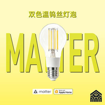 Matter Bulb Ember灯泡球泡仿钨丝E27调光调色LED家用氛围灯泡