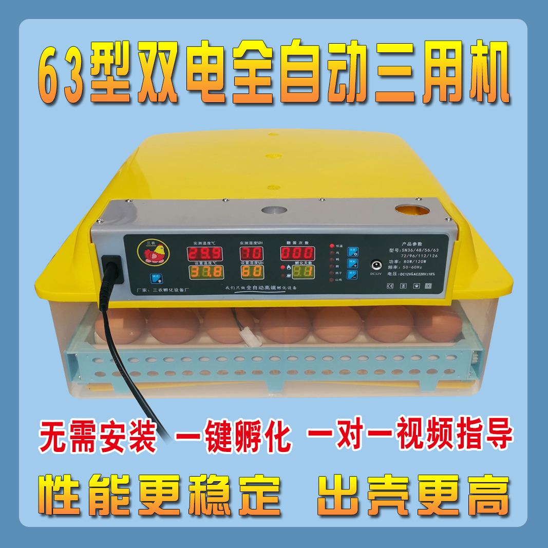 全自动恒温箱报蛋器孵化鸡