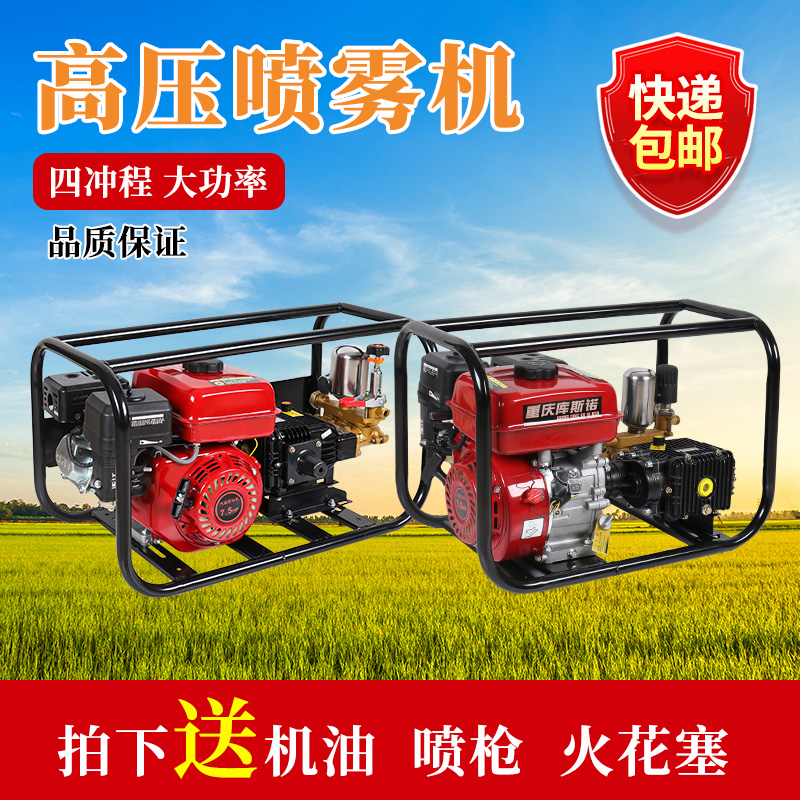 汽油打药机高压农用直连式喷雾器免黄油三缸泵园林机器打农药喷洒