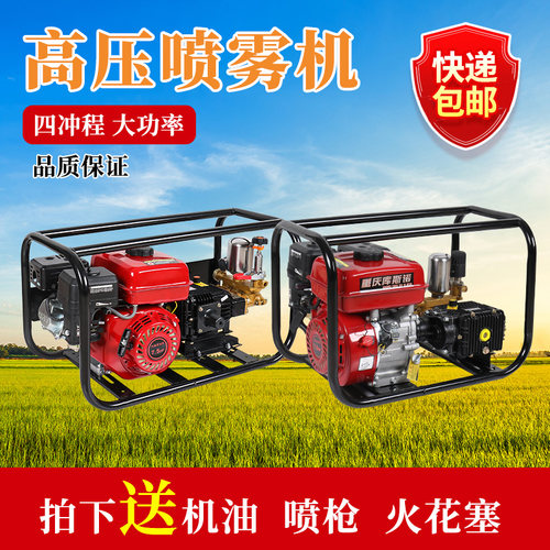 汽油打药机高压农用直连式喷雾器免黄油三缸泵园林机器打农药喷洒