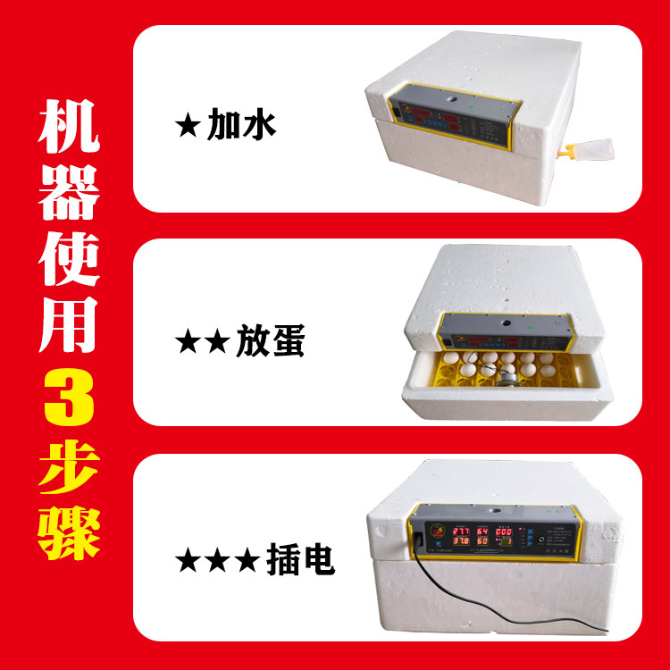 自动控温孵化机迷你型卵化器经典