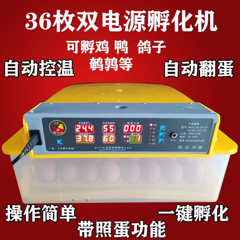 小型鸡蛋辅蛋器接电瓶卵化机厂家