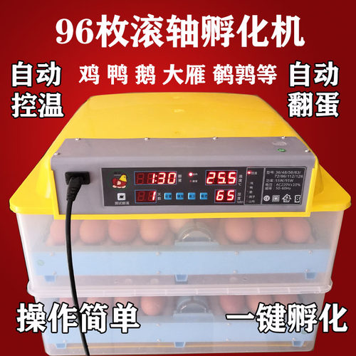 鸭苗孵化机价格 鸭苗孵化机图片 星期三