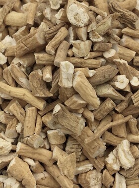 稻荷Inari 板蓝根 大青根 养缸  天然植物染料 草木染材 手工DIY