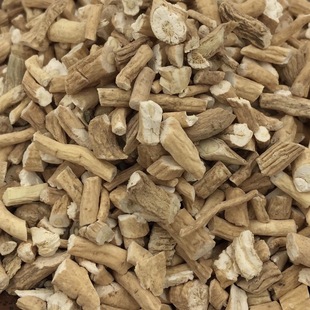 板蓝根 草木染材 大青根 天然植物染料 手工DIY 养缸 稻荷Inari