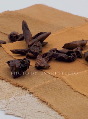 稻荷Inari 核桃皮 褐色系天然植物染料 草木染材 手工扎染印染DIY