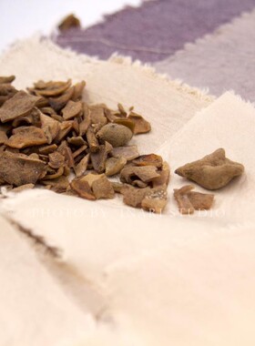 稻荷Inari 五倍子 紫色系天然植物染料 草木染材 手工扎染印染DIY