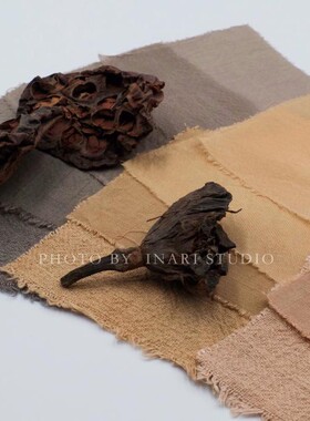 稻荷Inari 莲房 莲蓬 褐色系天然植物染料 草木染材 手工扎染DIY