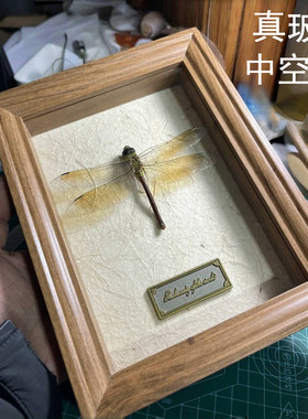 真玻璃立体中空相框中空4㎝蝴蝶昆虫标本收纳框方形diy手工展示盒