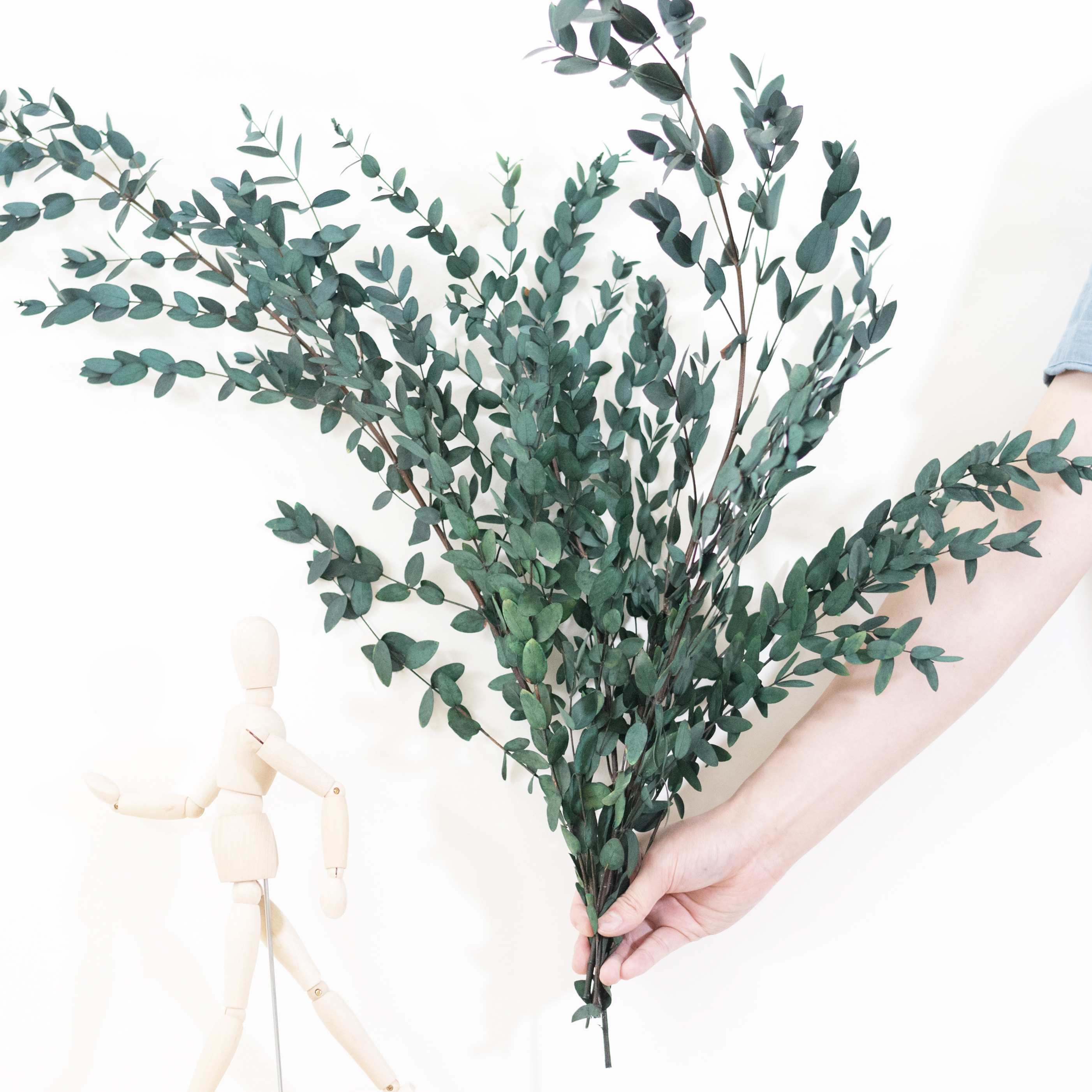 新品细叶尤加利小尖叶北欧风ins拍照橱窗装饰道具花永生干花真花