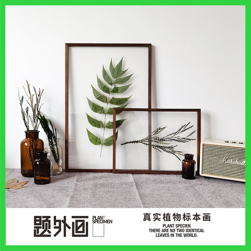 植物标本装饰画树叶桌面壁挂干花胡桃木手作摆件植物画框手工客厅图片