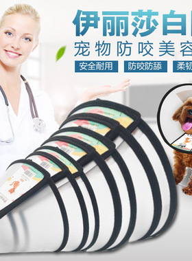 宠物伊丽莎白项圈防咬防舔美容护理罩狗项圈猫咪脖圈防护罩耻辱