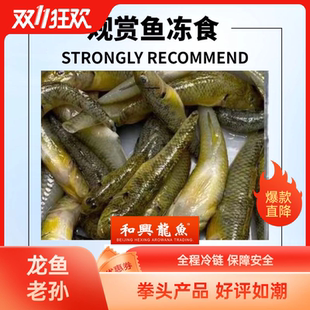 和兴速冻丁鱼泥鳅段虾段罗汉地图肉食性鱼类冻食6斤每周246发货