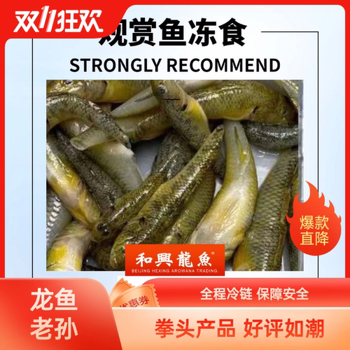 和兴速冻丁鱼泥鳅段虾肉食性地图