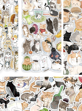 50张卡通手绘猫咪可爱手账贴纸防水行李箱文具吉他笔记本sticker