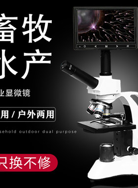 专业生物高倍儿童螨虫电子显微镜
