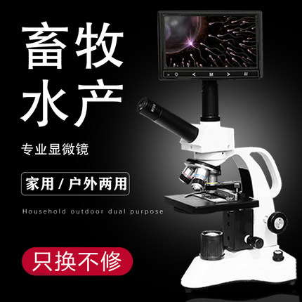 专业生物高倍儿童螨虫看精子排卵水产养殖 5000倍学生电子显微镜