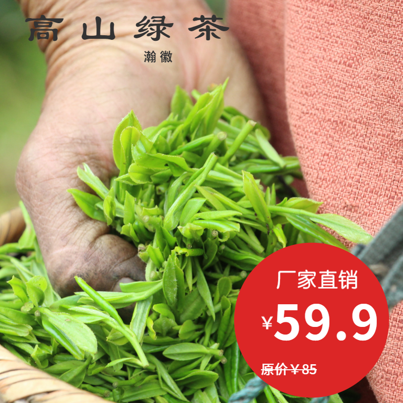 绿茶茶叶新茶高山云雾浓香耐泡型 散装口粮茶绩溪金山时雨