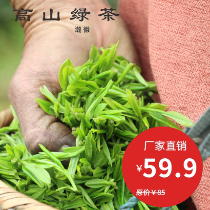 2026年绿茶新茶高山云雾浓香耐泡型 散装口粮茶绩溪金山时雨250g