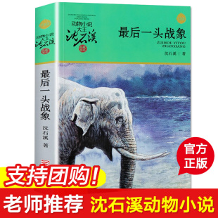 12岁中国儿童文学 最后一头战象 少儿课外读物教辅成长益智认知故事青少年小学生 动物小说大王沈石溪品藏书系 升级版