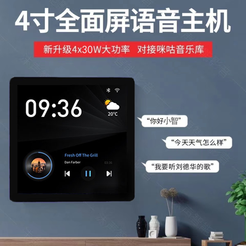 背景音乐嵌入墙式型定阻吸顶